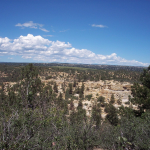 Palmer Park