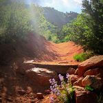 Section 16 Trailhead
