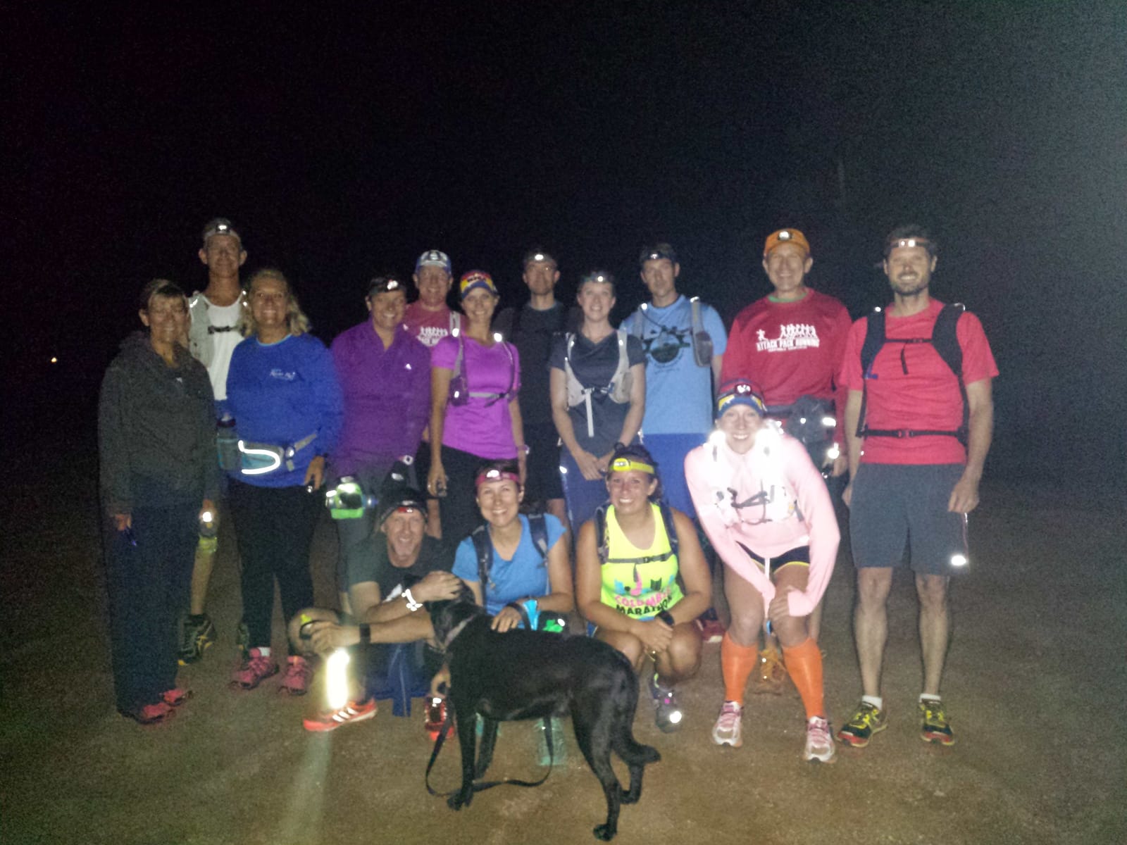 Midnight Pony 2015